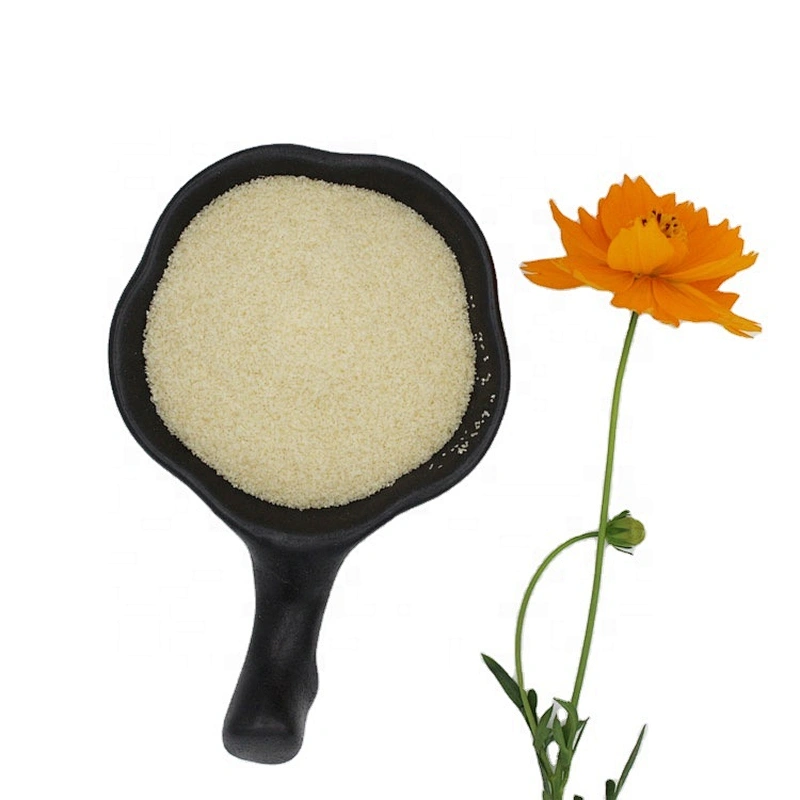 Bulk food grade gelatin powder for jelly desserts frozen foods production